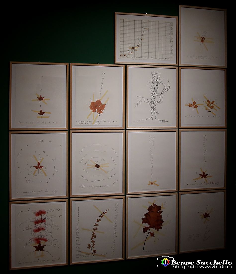 VBS_1378 - Castello di Miradolo - Mostra Oltre il giardino l'Abbecedario di paolo Pejrone.jpg
